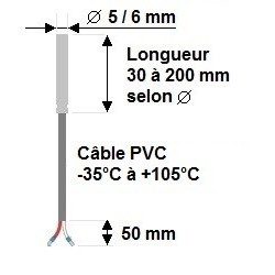 Sonde filaire diamètre 6 x 100mm sur câble PVC