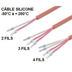Sonde à visser 1/2 G x 100 mm sur câble PVC