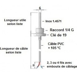 Sonde à visser 1/4 G x 100 mm2 fils sur câble PVC