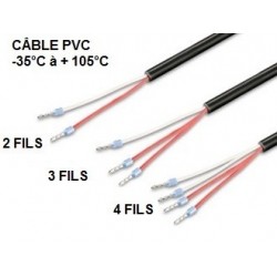 Sonde à visser 1/4 G x 100 mm2 fils sur câble PVC