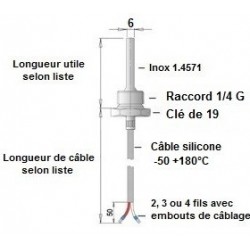 Sonde à visser 1/4 G x 100 mm sur câble silicone
